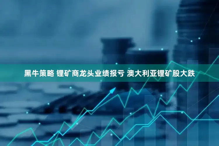 黑牛策略 锂矿商龙头业绩报亏 澳大利亚锂矿股大跌